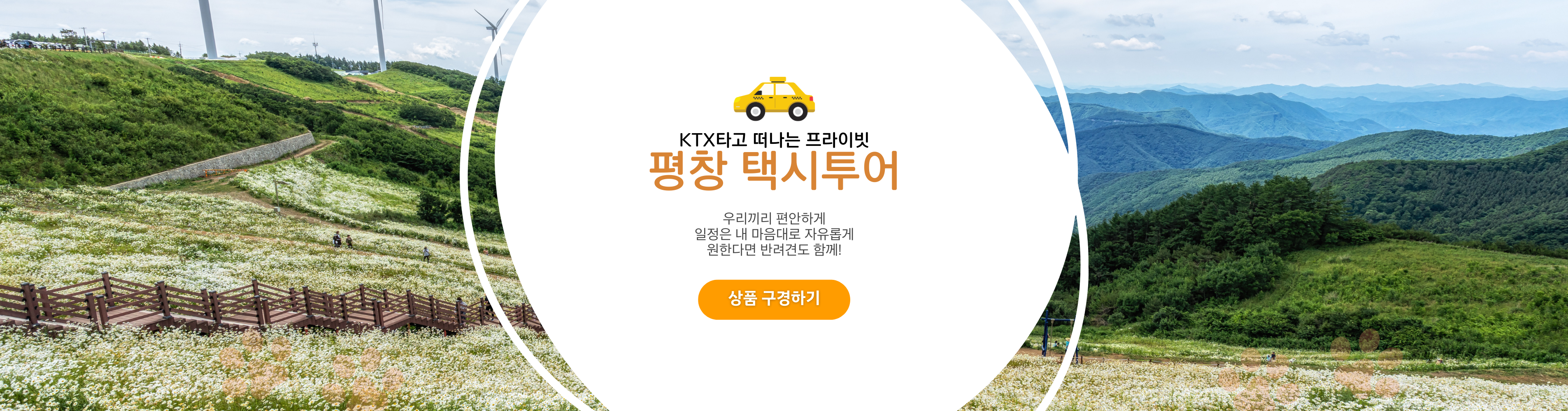 지자체지원 택시관광