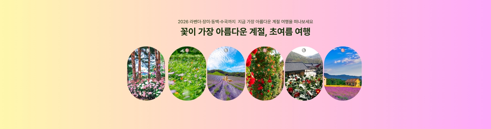 여름나기